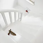 Hotel apartamentowy Schuhmacherei Oestrich-Winkel
